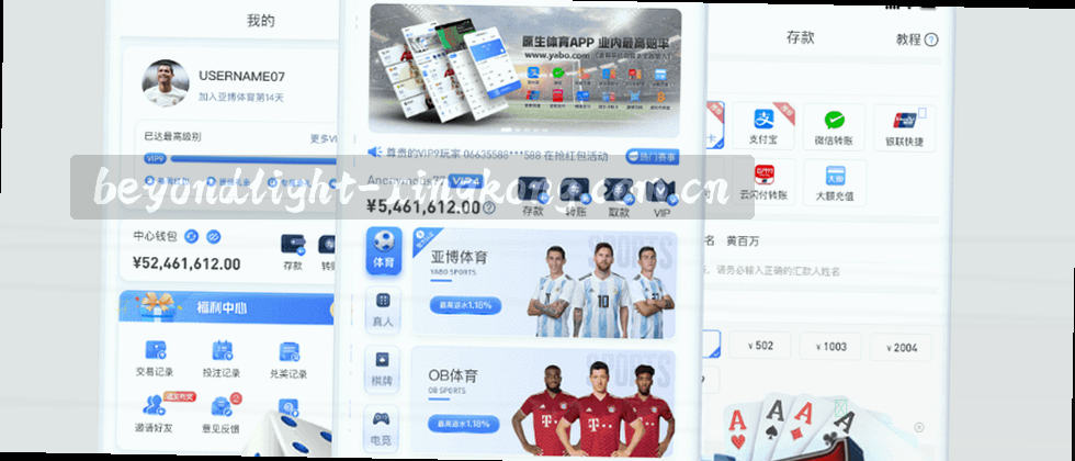 用户权益与隐私政策
